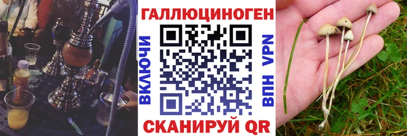 Псилоцибиновые грибы Magic Shrooms  купить наркотик  Суоярви 